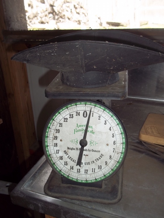 lot 346 image: Vintage scale