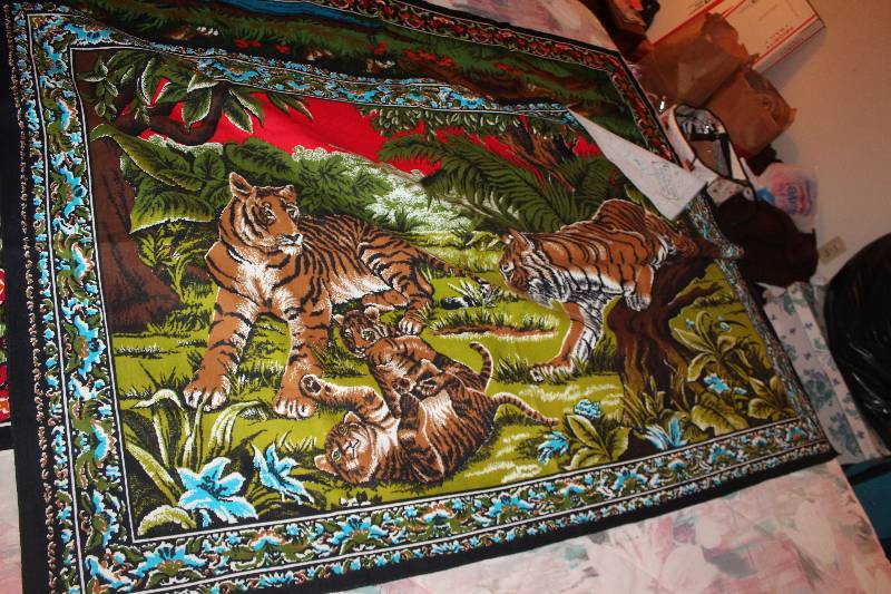 lot 1649 image: Lion&Tiger Safari Themed Throw