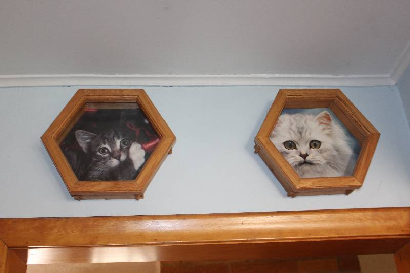 lot 1727 image: Lot of (2) Framed Cat Pictures