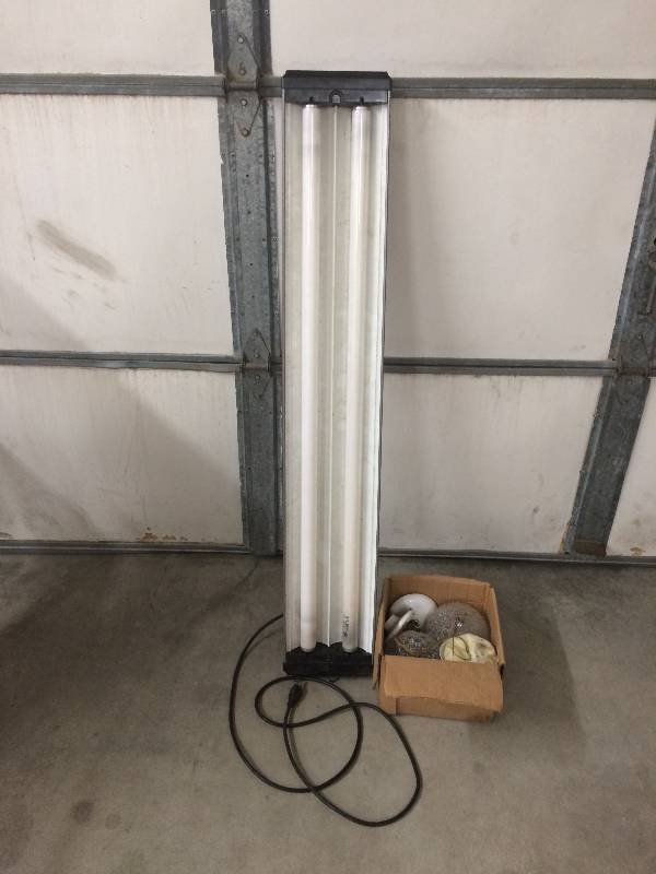 lot 100 image: Fluorescent Light