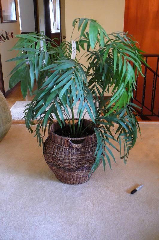 lot 22 image: Wicker basket
