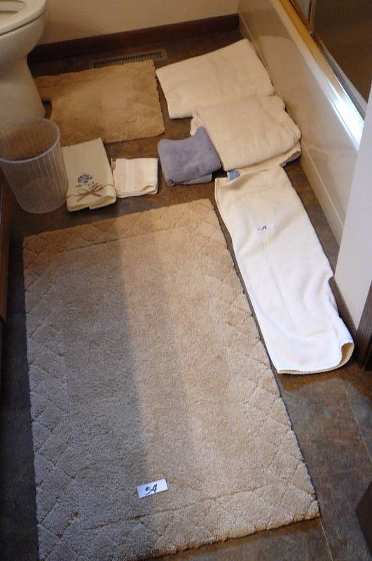 lot 54 image: Lot of Bathroom Items