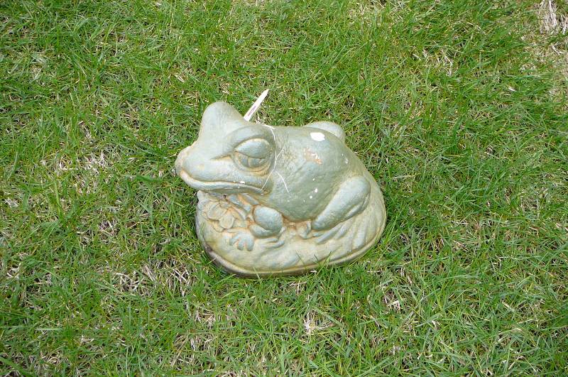 lot 180 image: Frog
