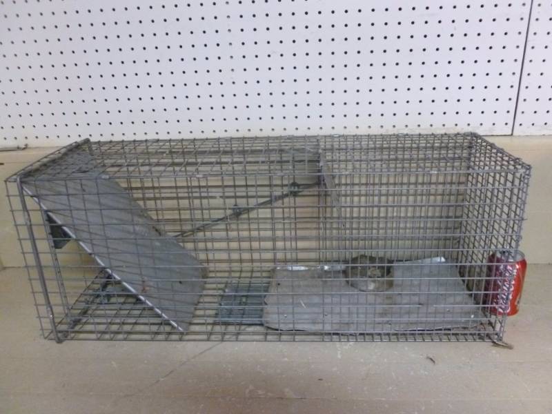 lot 15 image: Live Trap