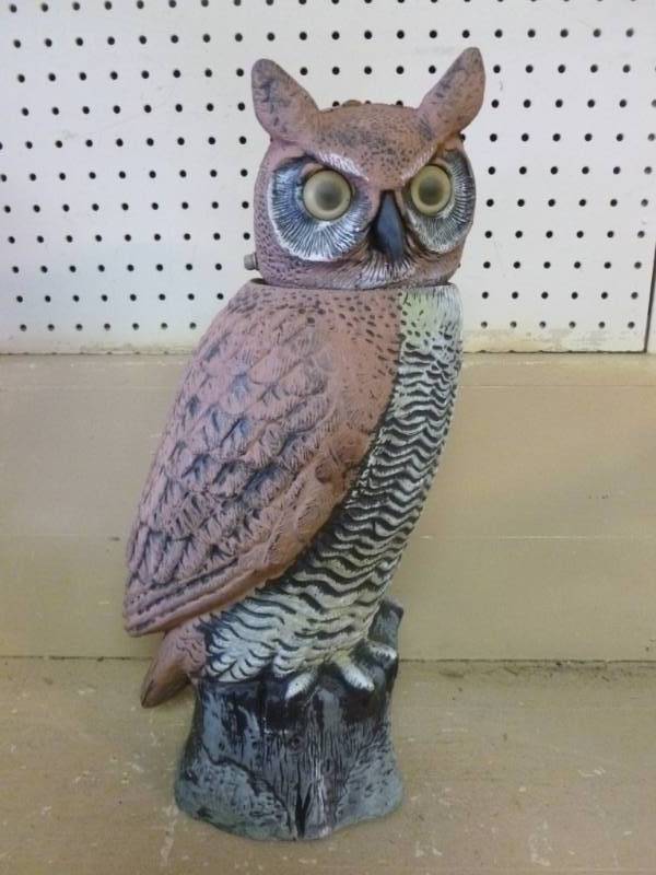 Owl Decoy