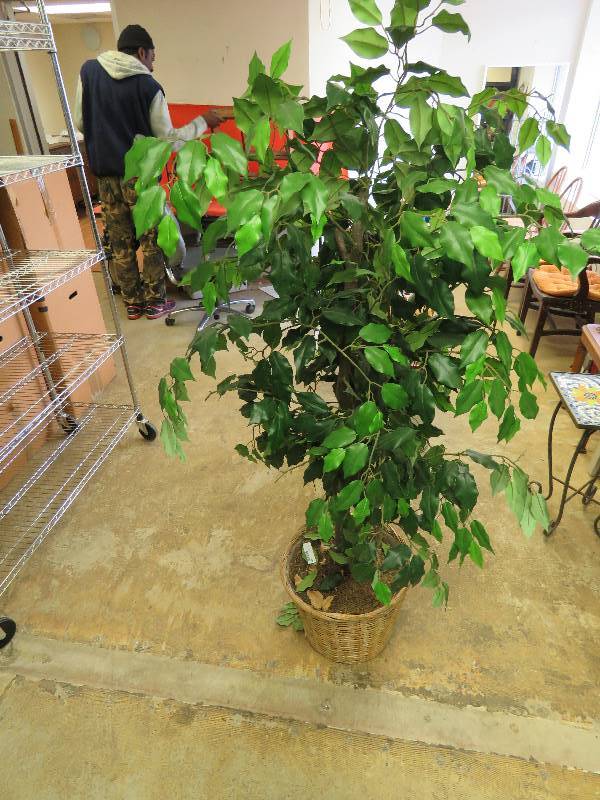 Artificial Tree