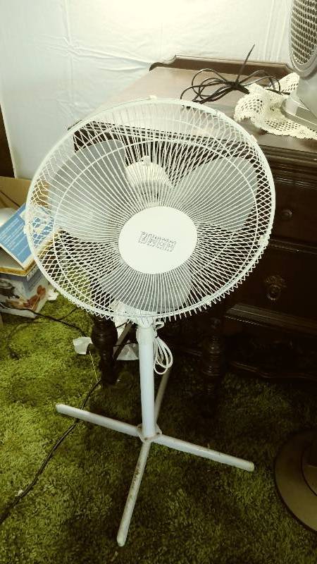 lot 132 image: Selection of Four Fans