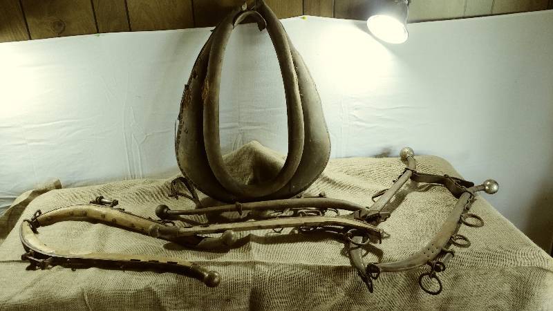 lot 177 image: Horse Tacks and Collar