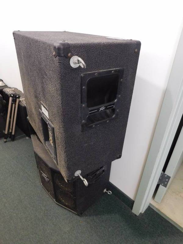 lot 225 image: 2 - Peavey Stereo Speakers