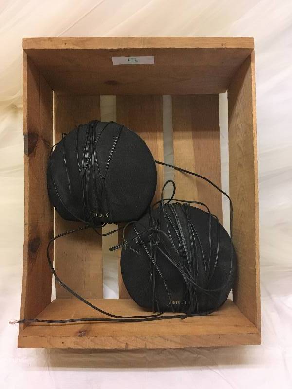 Small Speakers and Wooden Crate