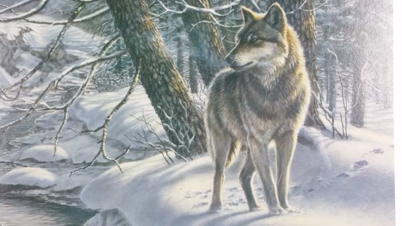 lot 6 image: James Meger & Herb Brooks Signed  Numbered Print Hidden Game - Timberwolf