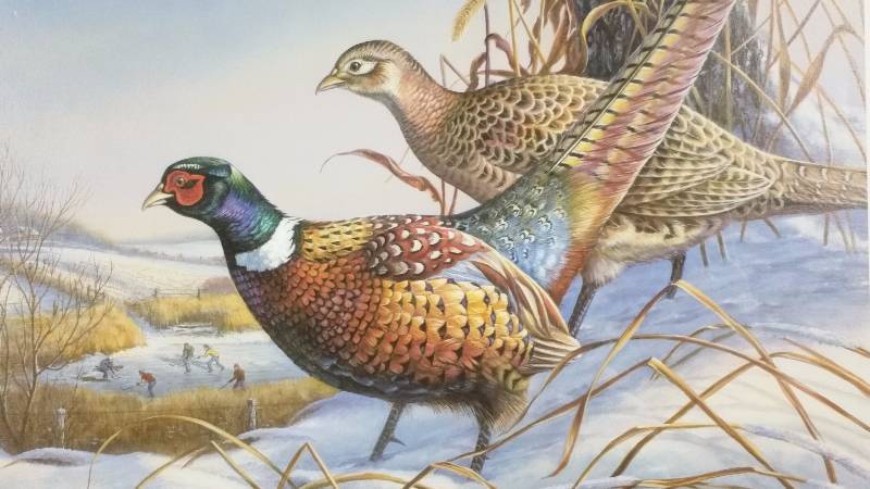 lot 7 image: James Meger & Herb Brooks Signed  Numbered Print Uninvited Guests - Ringneck Phesants
