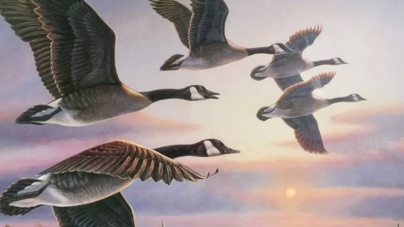 lot 8 image: James Meger & Herb Brooks Signed  Numbered Print One More Pass - Canada Geese