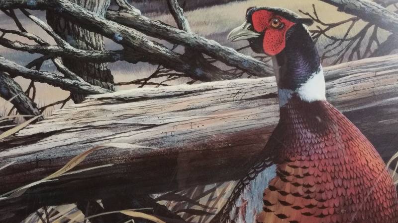 lot 20 image: Scot Storm Signed  Numbered Unframed Out Back