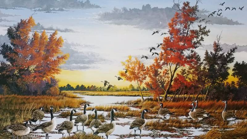 lot 11 image: Donald Blakney Signed  Numbered Horseshoe Lake Honkers
