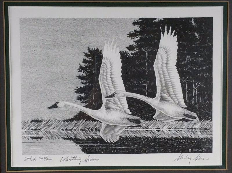lot 2 image: 1966 Federal Duck Stamp Print by Stanley Stearns Second Edition 260300