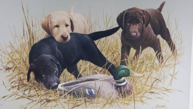 lot 15 image: Jim Killen Signed  Numbered Puppy Daze