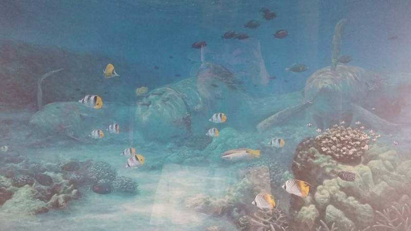 lot 25 image: Shallow Water Lightning Signed & Numbered Print by Randall Scott