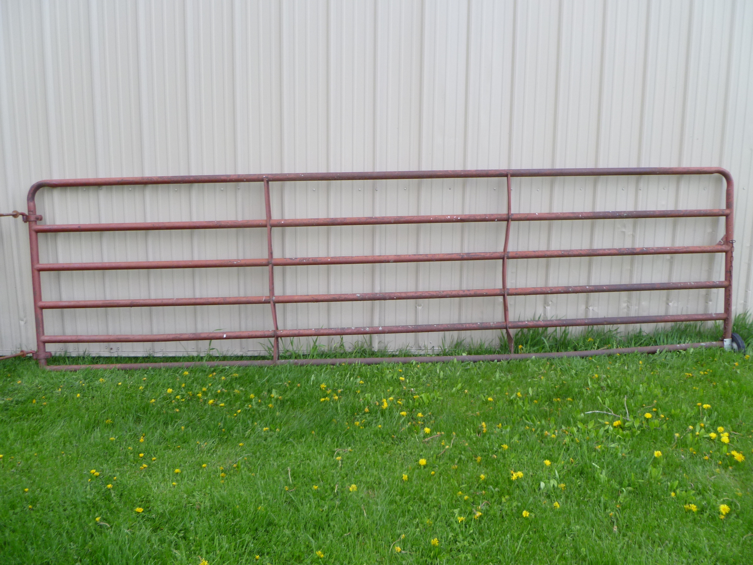 lot 26 image: 6 Bar CattleHorse Gate