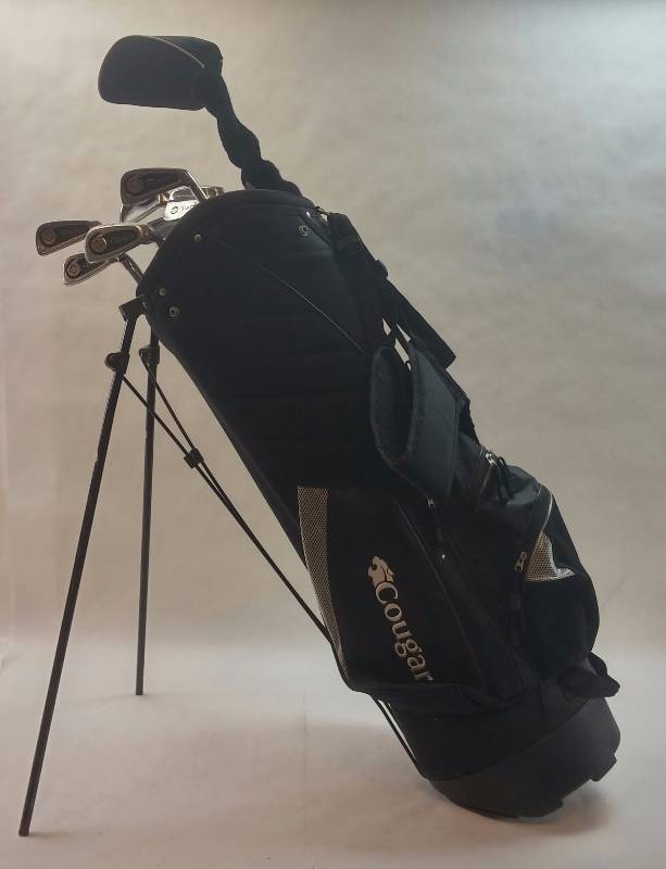 lot 607 image: RH Wilson Tiara Clubs w Protech 1 Wood and Cougar Dual Strap Stand Bag