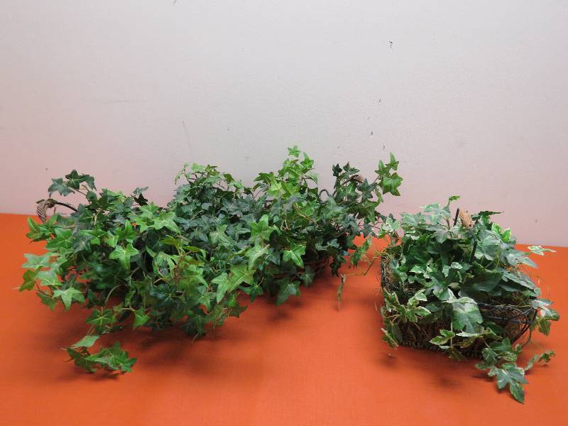 Artificial Plants