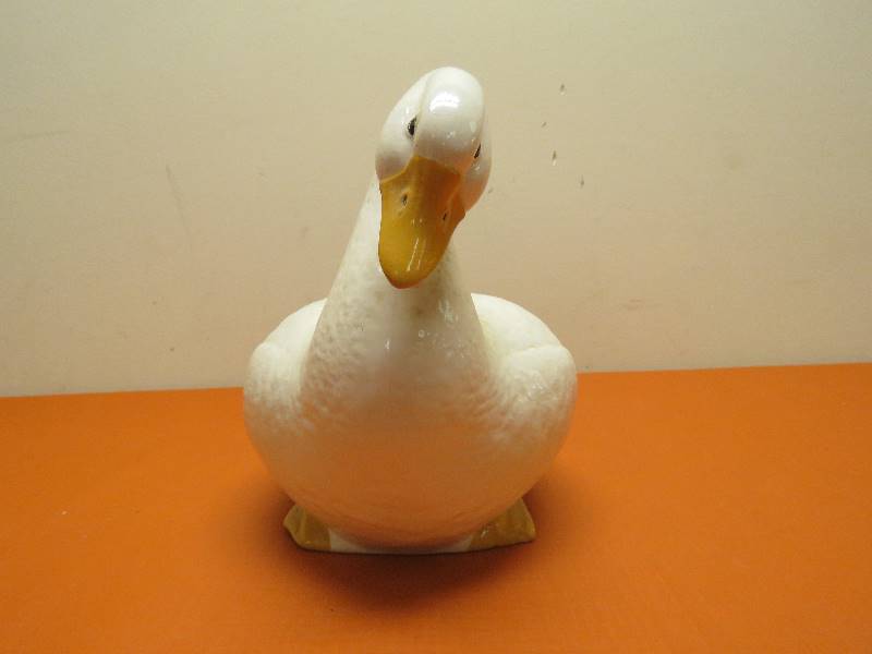Goose