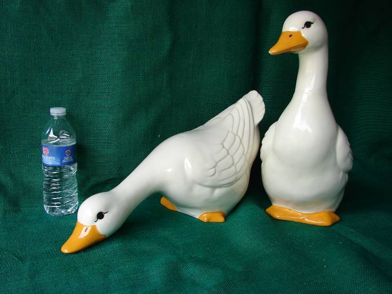 Goose and Goose
