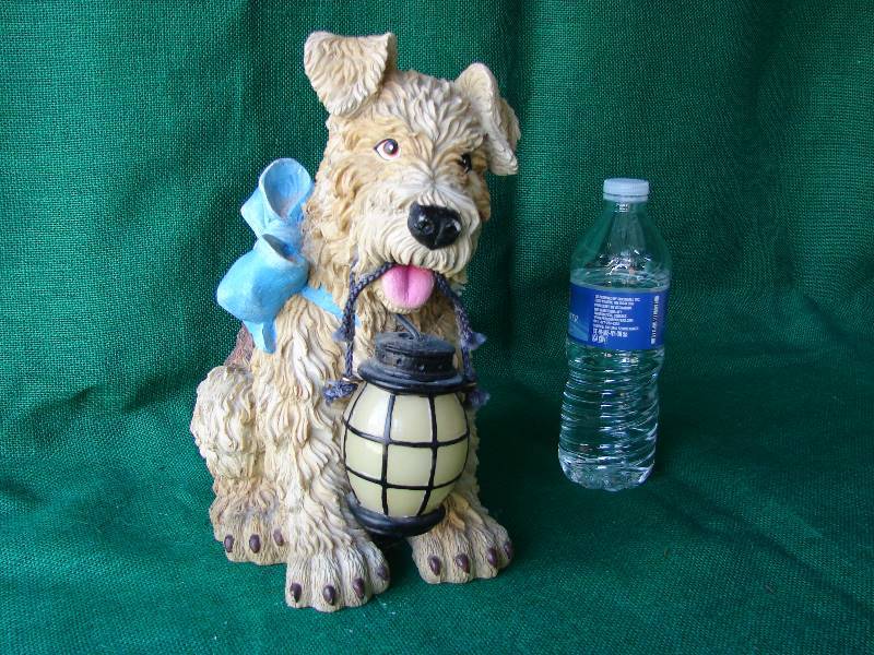 Puppy with a night light.