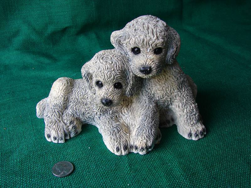 Cute puppies
