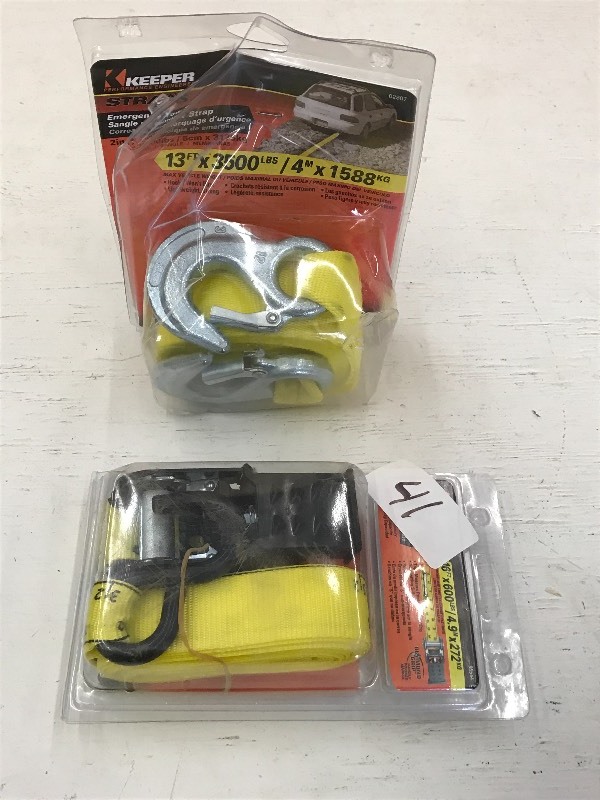 Lot Of (1) New 16ftx600# Ratchet St...