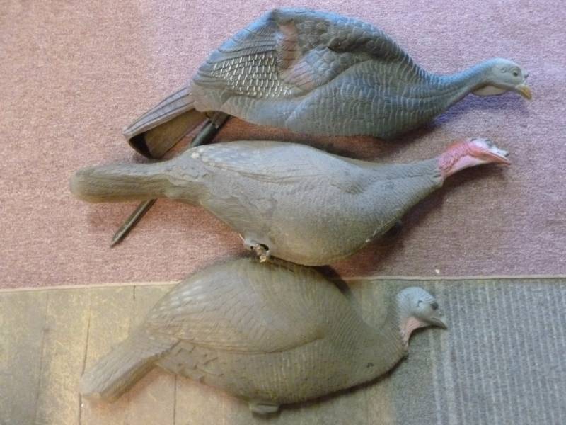 Wild Turkey Decoys