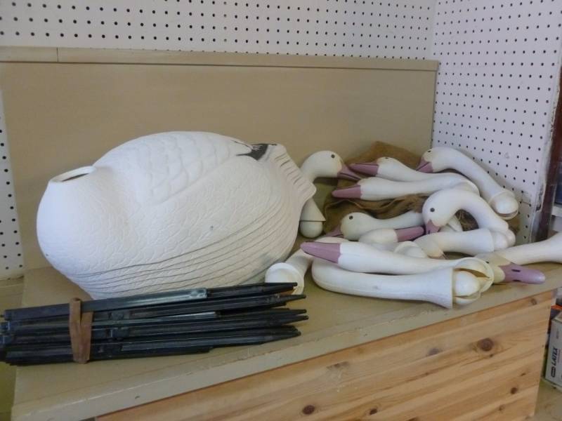 Snow Goose Decoys