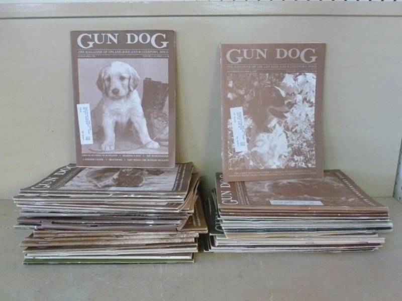Gun Magazines