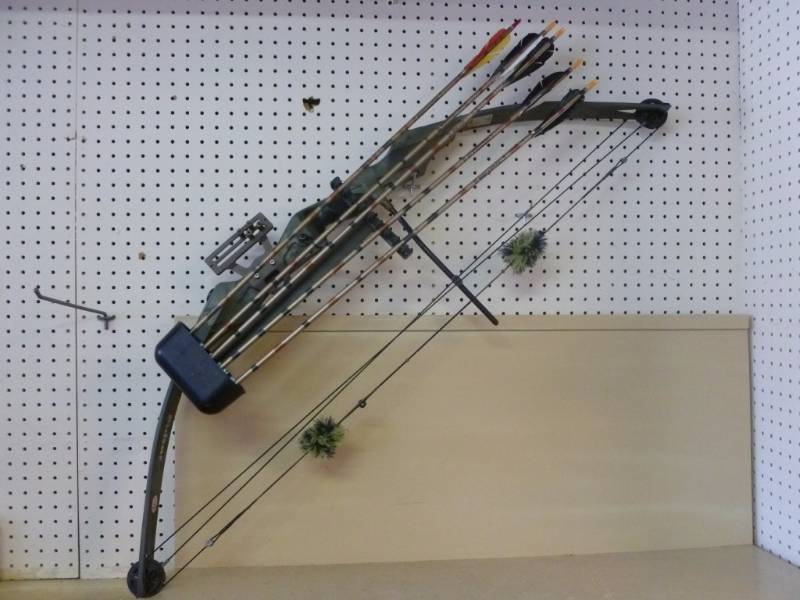 Compound Bow