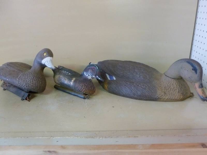 Duck Decoys