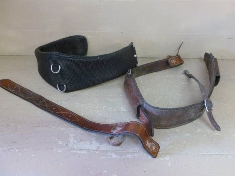 Horse Equipment