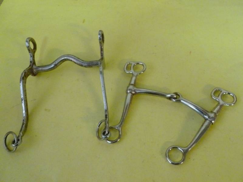 Horse Equipment