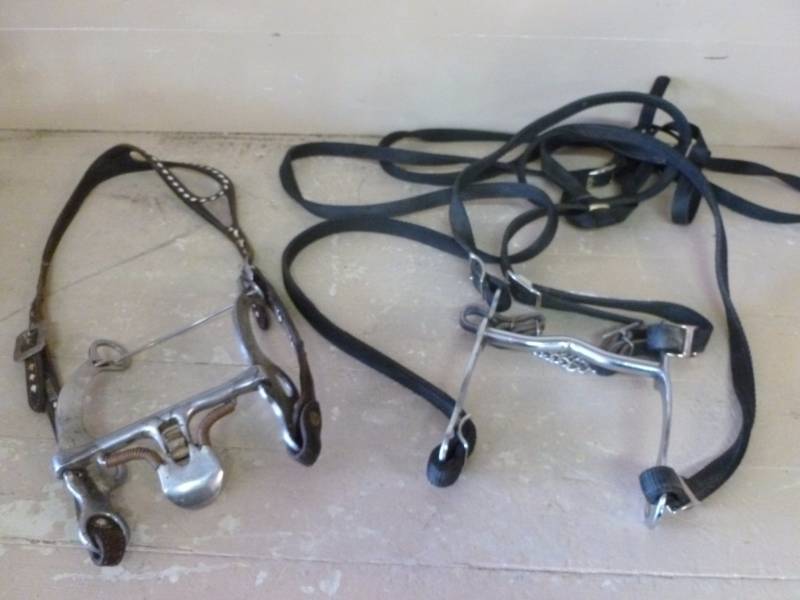 Horse Equipment