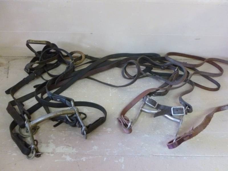 Horse Equipment