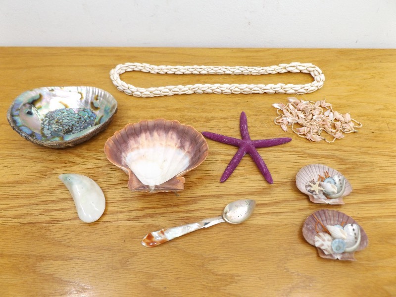 lot 49 image: Lot of Sea Shells, and Sea Shell Necklaces