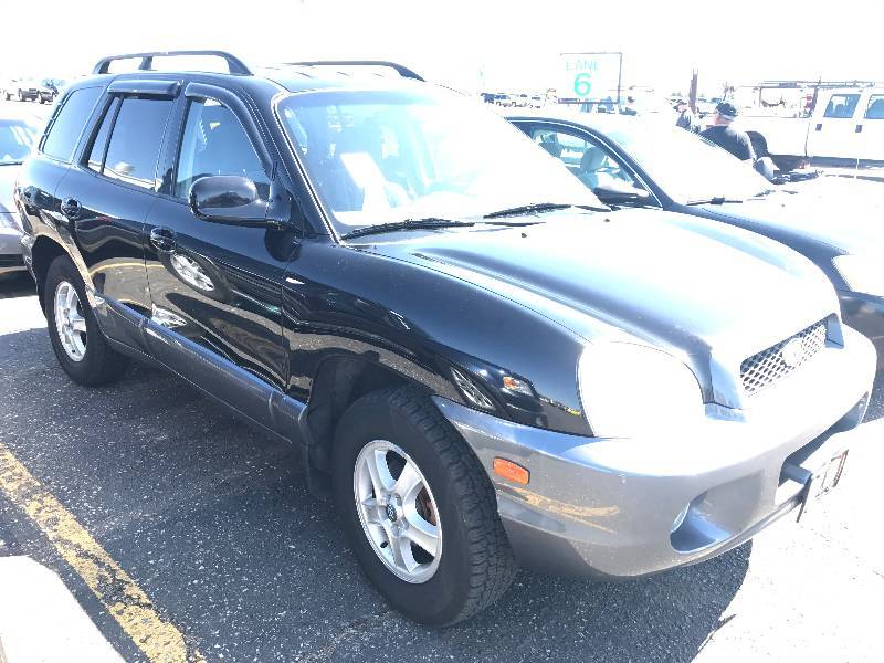 2004 Hyundai Santa Fe GLS 4WD