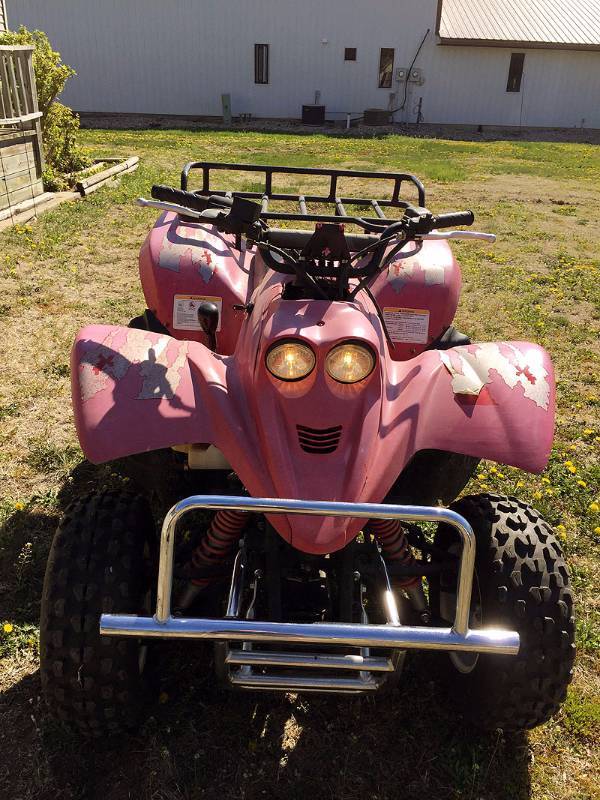 lot 2 image: Wilderness 250 CC ATV