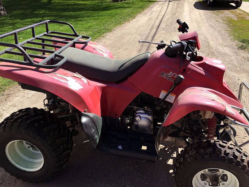 lot 5 image: Wilderness 250 CC ATV