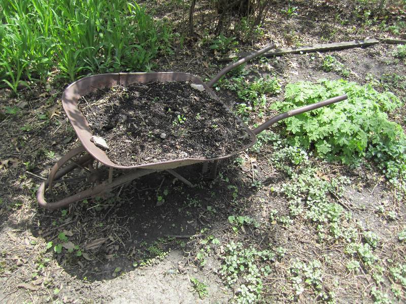 lot 112 image: Wheelbarrow planter...