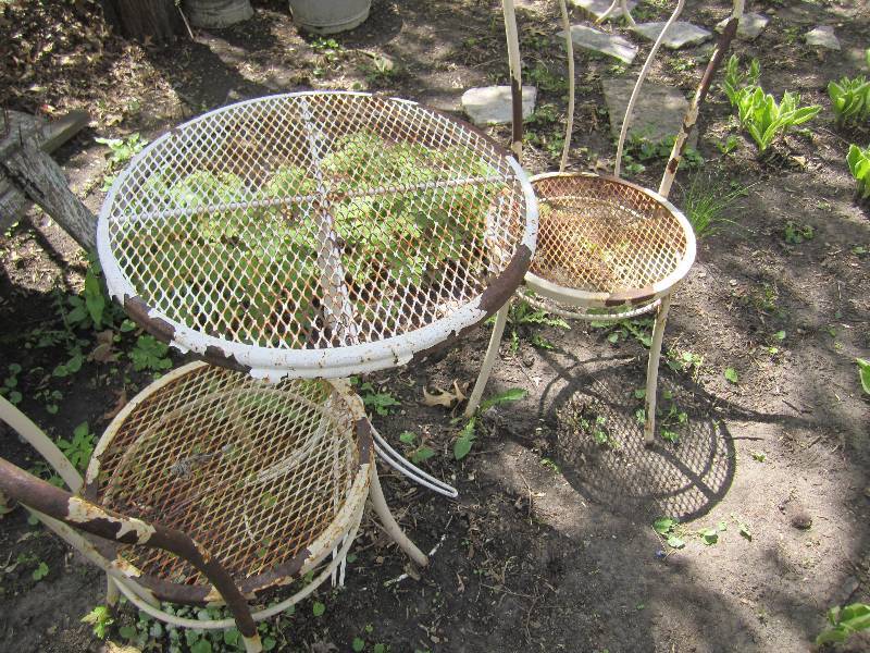 lot 116 image: Metal table and chairs...