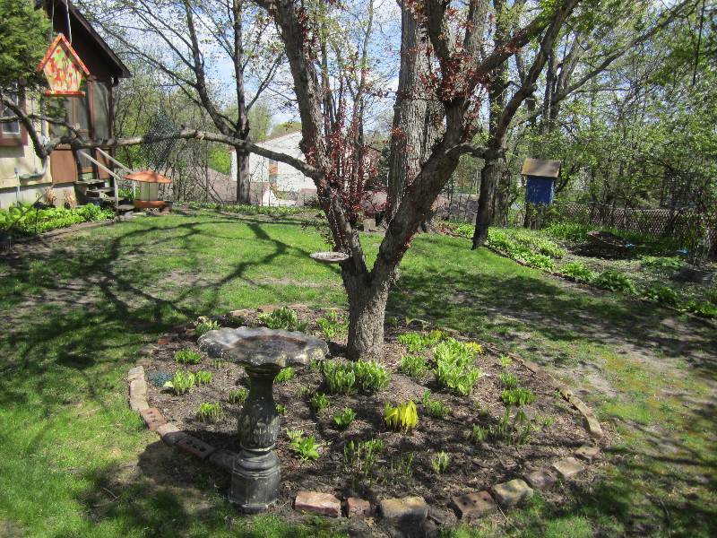 lot 122 image: Lot of bird houses, feeders, and bi...