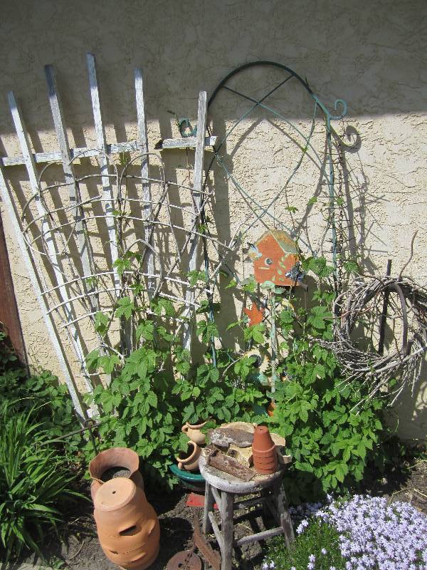 lot 135 image: Lot of decorative garden items...