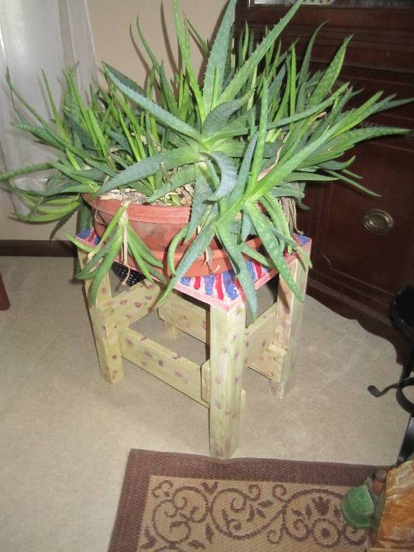 lot 145 image: Aloe plant and stand...