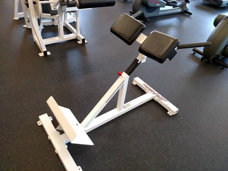 lot 19 image: Life Fitness Standing Back & Abs...