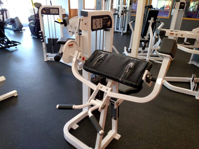 lot 25 image: Life Fitness PSBC Pro 2 Biceps Curl...